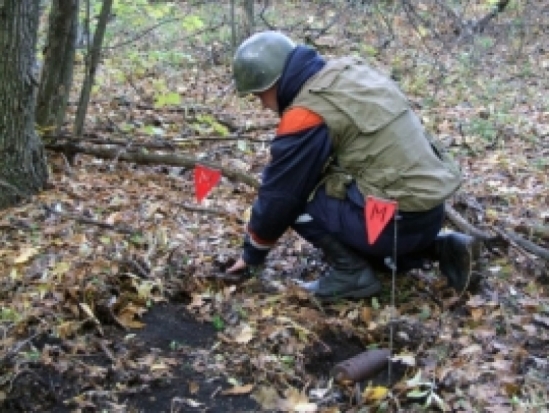 В Пскове обезврежены два взрывоопасных предмета времен ВОВ - 2016-11-01 19:21:00 - 1