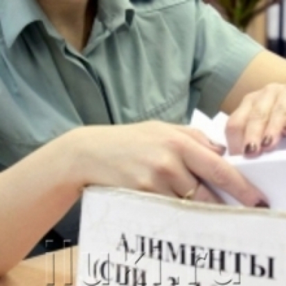 Более 400 должников по алиментам наказаны в Псковской области за неисполнение решения суда - 2017-02-02 19:29:00 - 1
