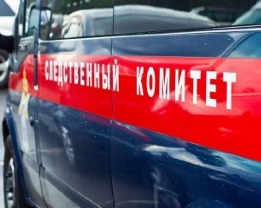 Москвичка грозилась убить сотрудников скорой медицинской помощи - 2017-05-30 08:46:00 - 1