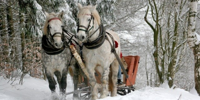 СберИндекс рассказал, как россияне провели каникулы - 2021-01-12 18:30:00 - 1
