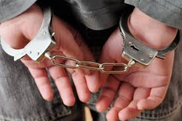 В Пскове полицией задержан гражданин, подозреваемый в поджоге трех чужих автомобилей после ссоры с супругой - 2017-08-29 11:01:00 - 1