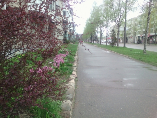 В воскресенье днем в Великих Луках ожидается до +14°С - 2017-05-13 22:02:00 - 1