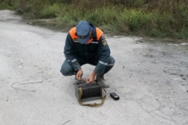 В Псковском районе саперы обезвредили взрывоопасный предмет - 2017-09-05 18:19:00 - 1