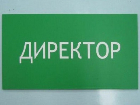 Директор великолукской школы №5 победила в номинации всероссийского конкурса «Директор школы-2016» - 2016-11-14 11:39:00 - 1