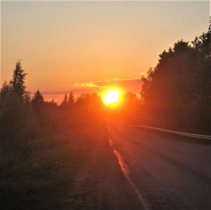 21 мая в Великих Луках ожидается до +21°С - 2018-05-20 22:02:00 - 1