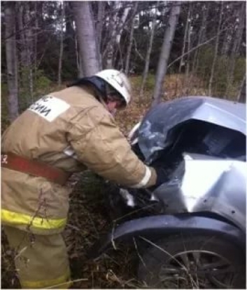 В Дновском районе произошло ДТП - 2017-08-17 21:38:00 - 1