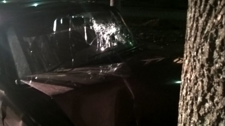 В Стругокрасненском районе водитель врезался в дерево и погиб на месте ДТП - 2016-10-10 08:21:00 - 1