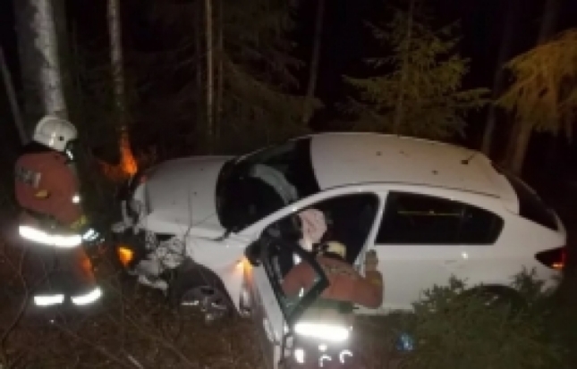 На 38-м км автодороги Псков – Гдов легковушка попала в ДТП - 2017-07-24 06:31:00 - 1