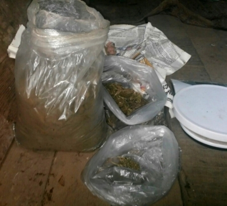 У жителя Палкинского района в надворных постройках обнаружены гашиш и марихуана - 2016-10-01 14:19:00 - 1
