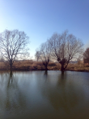Заморозков в мае на территории Псковской области не ожидается. Прогноз погоды на месяц - 2018-05-02 08:37:00 - 1