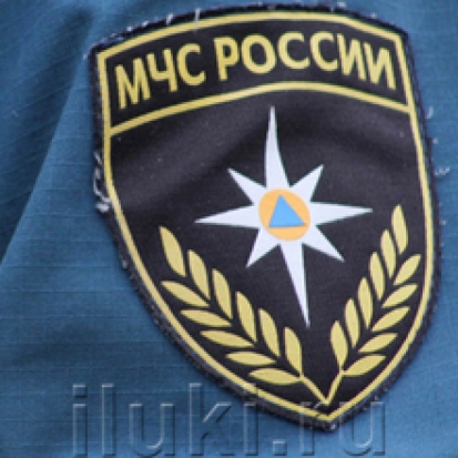 В Великолукском районе из пруда достали останки человека - 2017-06-24 12:49:00 - 1