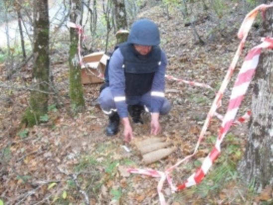 В Новоржевском районе обезврежено 3 взрывоопасных предмета времен ВОВ - 2016-09-22 21:46:00 - 1