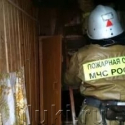 Названа предположительная причина пожара в жилом доме в Псковском районе - 2017-08-13 16:16:00 - 1
