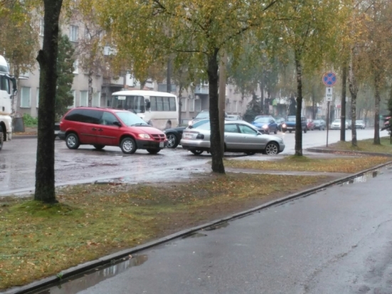 На трассе Великий Новгород – Псков в ДТП пострадал пятилетний мальчик - 2016-10-10 12:58:00 - 1