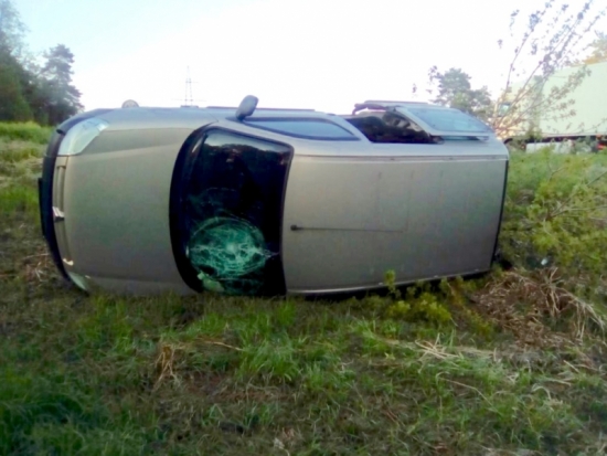 «Citroen» сбил 17-летнюю девушку и опрокинулся: ДТП в Великолукском районе (ФОТО) - 2017-05-19 08:39:00 - 1