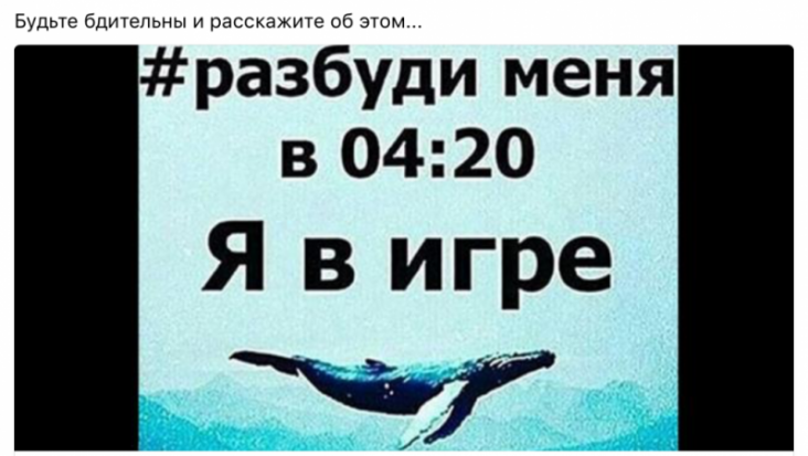 Псковский детский омбудсмен просит родителей быть бдительными: подростковые «группы смерти» мигрировали в Twitter и Instagram - 2017-02-13 18:06:00 - 1