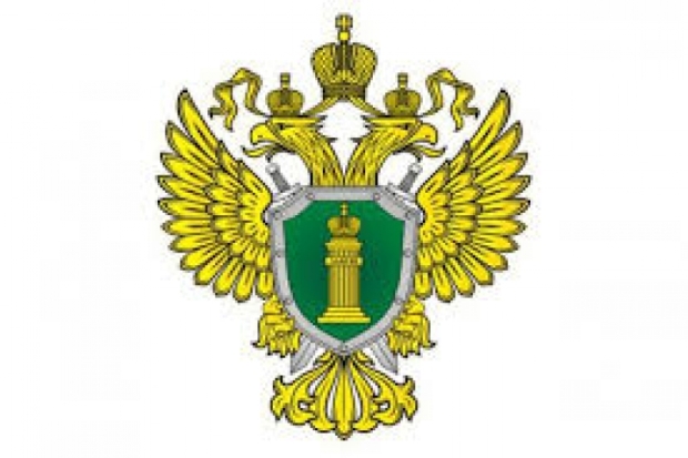 Почему жалобы на великолукскую прокуратуру возвращаются на рассмотрение к ним же, интересуются у властей - 2018-05-10 16:40:00 - 1