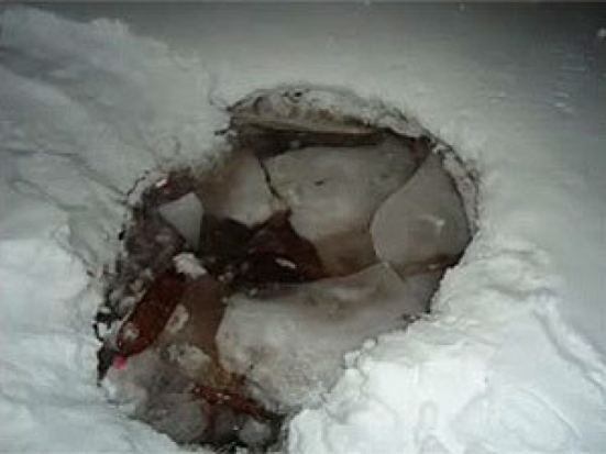На Ловати образовались промоины - 2017-02-20 09:00:00 - 1