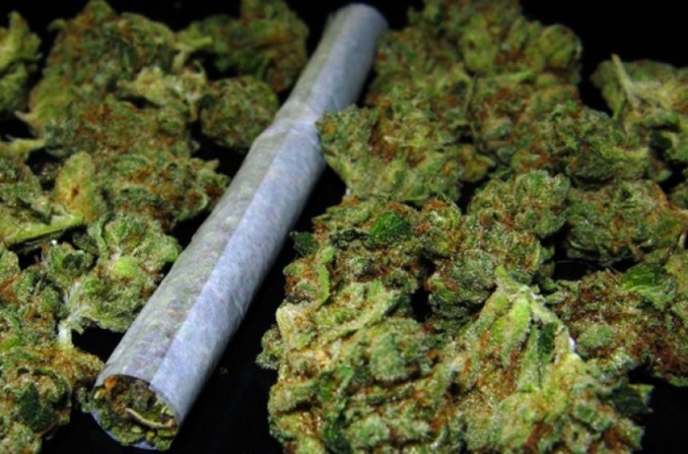 Петербуржец перевозил в багажнике 3 килограмма марихуаны - 2017-02-04 09:36:00 - 1