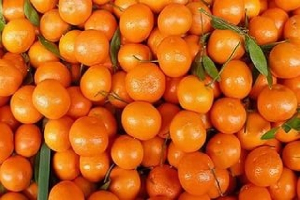 Устанавливаются обстоятельства пропажи груза с 18 тоннами мандаринов - 2017-01-02 08:35:00 - 1