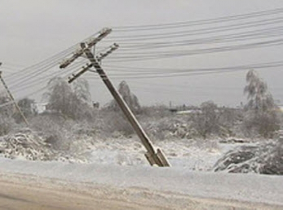 В Гдовском районе с поличным задержали граждан, кравших провода с ЛЭП - 2017-02-06 17:40:00 - 1
