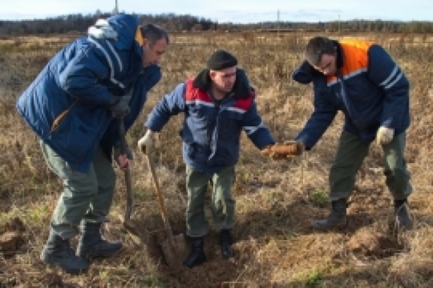 Псковские саперы разминировали «военную посылку» в Выбутах - 2016-10-14 21:13:00 - 1
