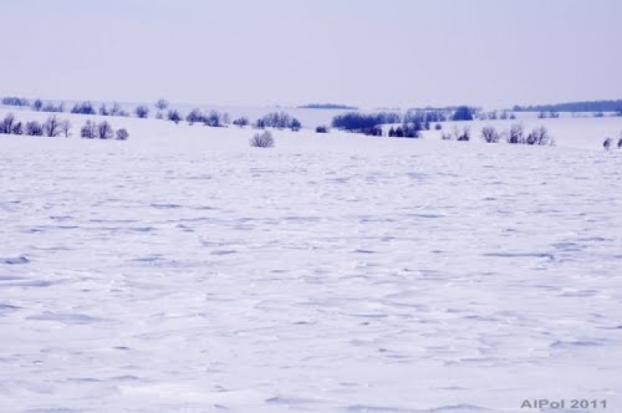 Найдено обгрызенное зверями и окоченевшее тело пропавшего в Псковской области инвалида - 2017-02-22 14:13:00 - 1
