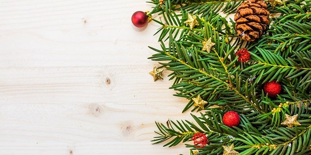 В Великих Луках предотвращено хищение шаров с центральной городской ёлки - 2020-12-31 13:00:00 - 1