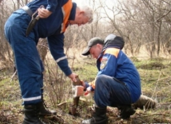 Саперы обезвредили одну единицу ВОП в Великих Луках - 2016-10-17 18:19:00 - 1
