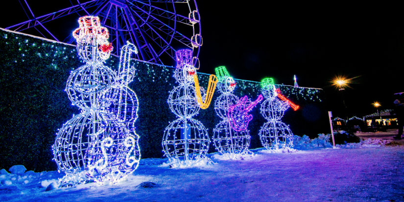 Новогодние украшения в Великолукском парке отдыха - 2021-01-05 13:00:00 - 1