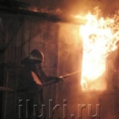 Из-за короткого замыкания электропроводки в Изборске сгорел жилой дом - 2017-01-04 15:27:00 - 1