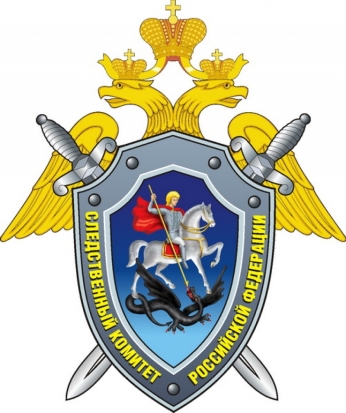 В подвале заброшенного дома в Дновском районе нашли труп женщины - 2017-05-02 13:30:00 - 1