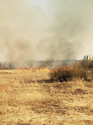 Великие Луки горят (ВИДЕО, ФОТО) - 2018-04-17 16:46:00 - 1