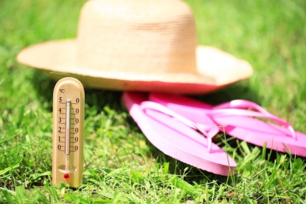 Администрация города Великие Луки сообщает о возможности предоставления в аренду земельного участка - 2016-06-15 10:49:00 - 1