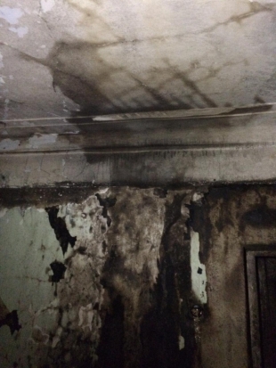 ФОТО с места пожара на проспекте Гагарина в Великих Луках - 2020-03-17 15:53:00 - 1