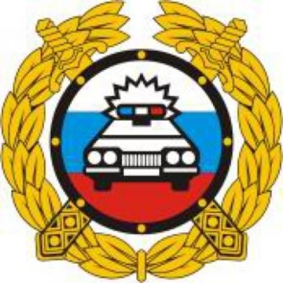 Нетрезвого великолучанина задержали сотрудники ГИБДД - 2019-06-10 12:06:00 - 1