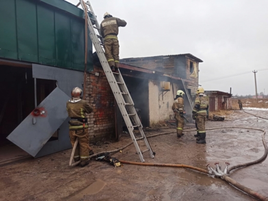 Три гаража и автомобиль сгорели в Пскове (ФОТО) - 2020-02-11 09:53:00 - 1
