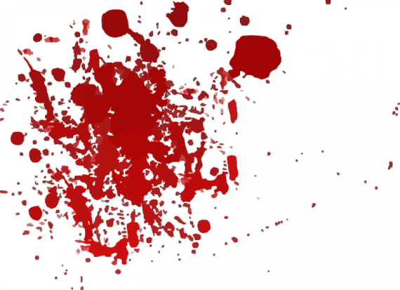 Тела с множественными рублеными ранами обнаружены в горевшем доме в Псковской области - 2019-08-26 22:41:00 - 1