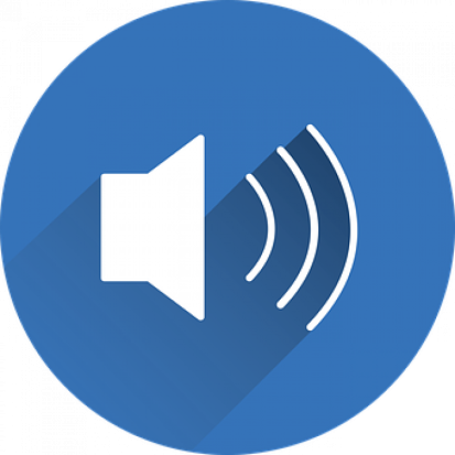 600 граждан, нарушавших тишину, наказаны в Псковской области - 2020-01-23 17:13:00 - 1