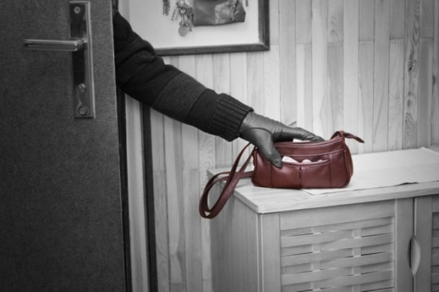 В Великих Луках и Бежаницах установлены лица, подозреваемые в совершении краж - 2019-07-05 19:08:00 - 1