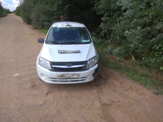 18-летний пассажир пострадал в ДТП в Куньинском районе (ФОТО) - 2020-08-02 18:00:00 - 1