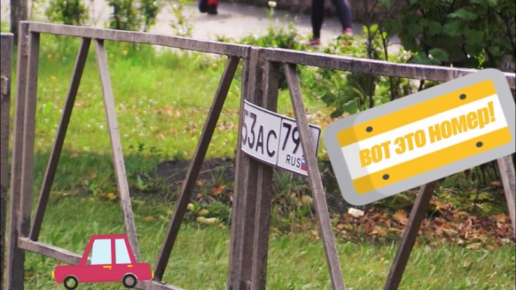 ВИДЕО: Как развешивали потерянные в лужах автомобильные номера великолукских водителей - 2019-08-10 17:37:00 - 1