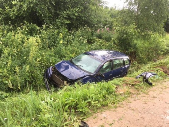 В Великолукском районе автомобилист вылетел в кювет (ФОТО) - 2020-07-07 16:02:00 - 1