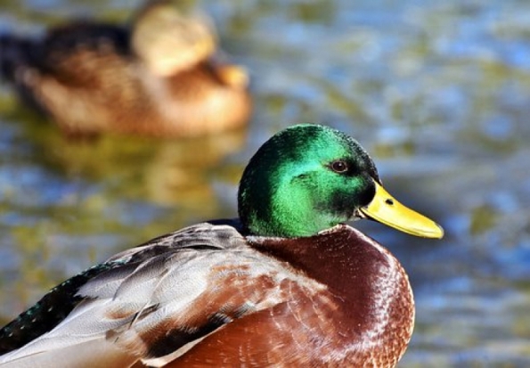 Погода в Псковской области на 22 ноября - 2019-11-21 13:23:00 - 1