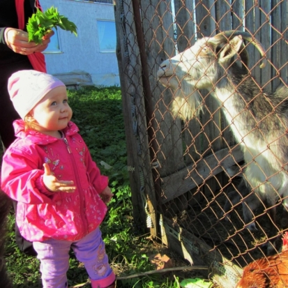 Завтра в Великих Луках днем ожидается до +17°С - 2016-06-12 22:02:00 - 1