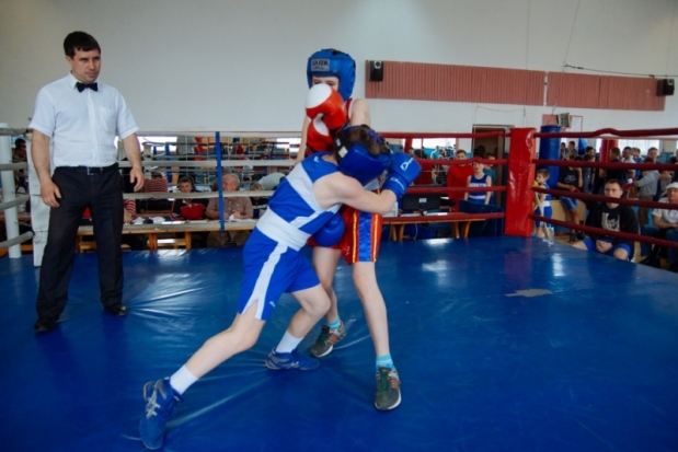 В Великих Луках прошло первенство по боксу (ФОТО) - 2016-05-06 16:30:00 - 1