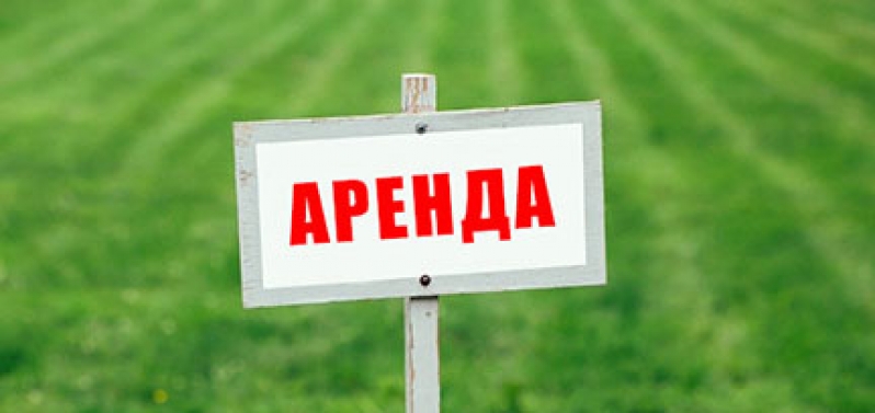 Комитет по управлению государственным имуществом Псковской области сообщает о возможности предоставления земельного участка в Палкинском районе - 2019-08-03 08:52:00 - 1