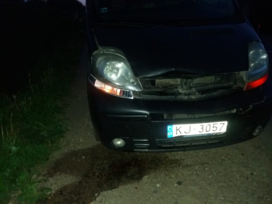 Косуля попала под колеса в Великолукском районе - 2019-05-21 13:13:00 - 1