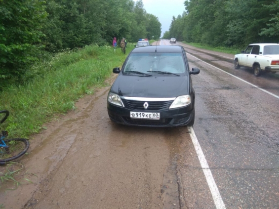 Внезапно выехавшего на дорогу велосипедиста сбили в Великолукском районе (ФОТО) - 2020-07-09 08:14:00 - 1