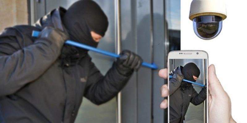 Кражи триммера и крупной суммы денег раскрыты великолукской полицией - 2020-12-18 13:43:00 - 1